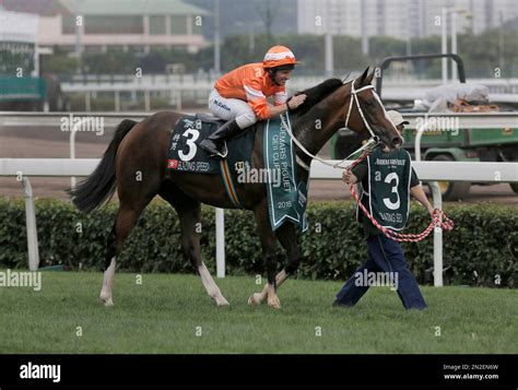 audemars piguet queen elizabeth ii cup 2014|Blazing Speed wins Audemars Piguet QEII Cup .